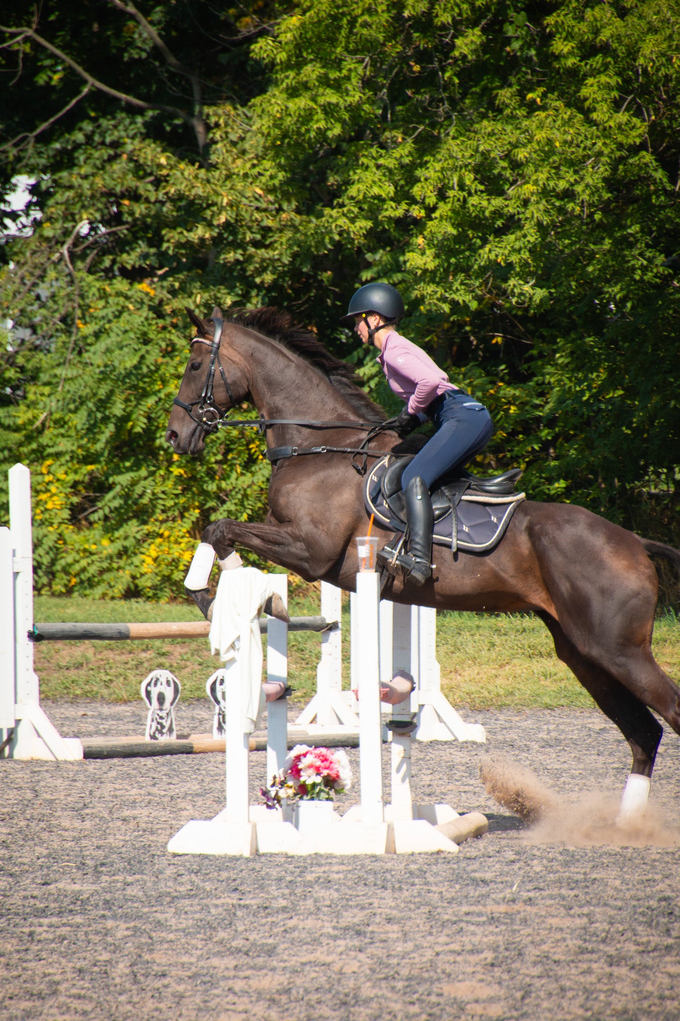 Everyday Riding Breeches | Navy