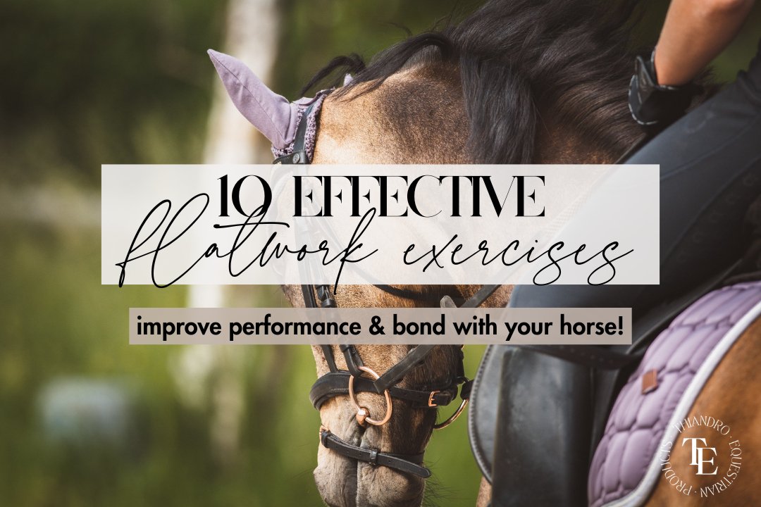 10 Effective Flatwork Exercises for Horses | Improve Performance & Bond with Your Horse - Thiandro Equestrian Products