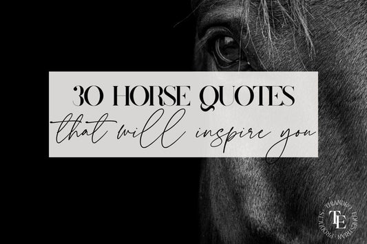 30 Inspirational Horse Quotes That Will Inspire You and Make You Think - Thiandro Equestrian Products