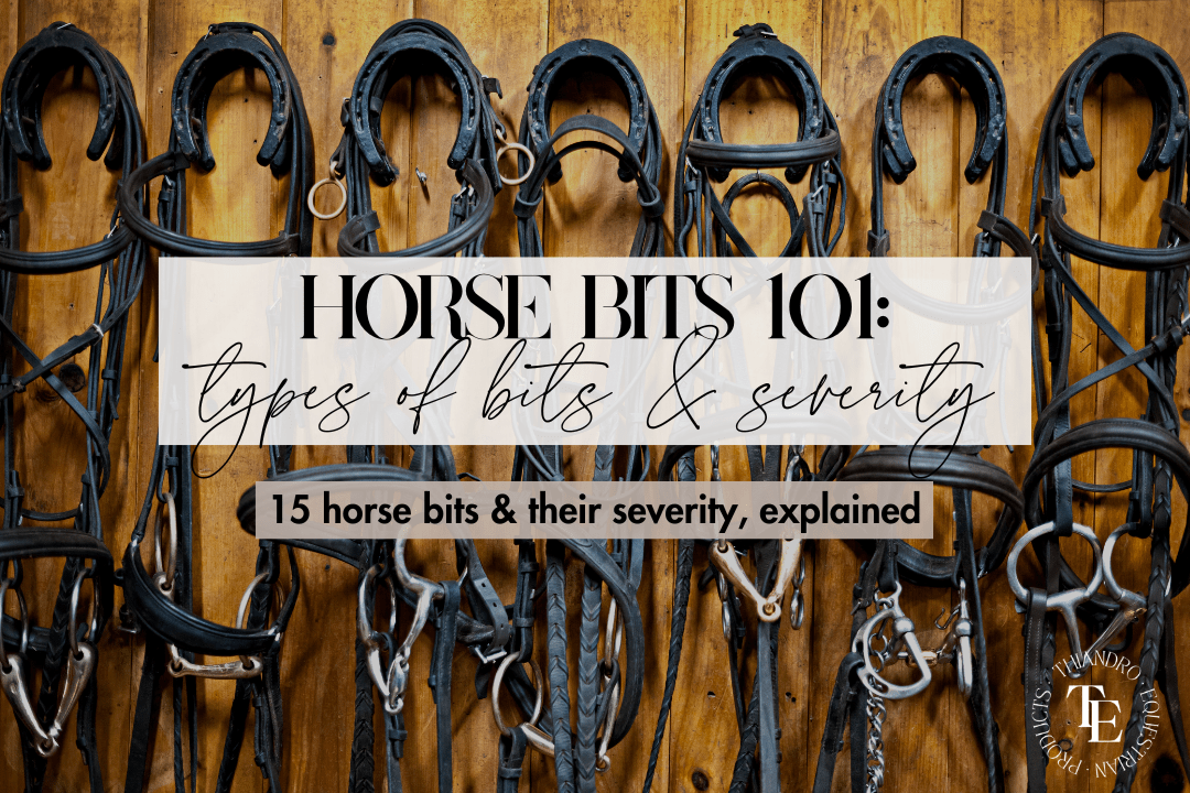 Horse Bit Types 15 Types of Horse Bits & Their Severity Thiandro