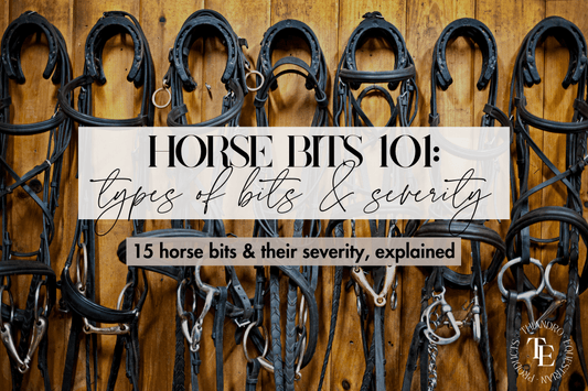 Horse Bit Types | 15 Types of Horse Bits & Their Severity - Thiandro Equestrian Products