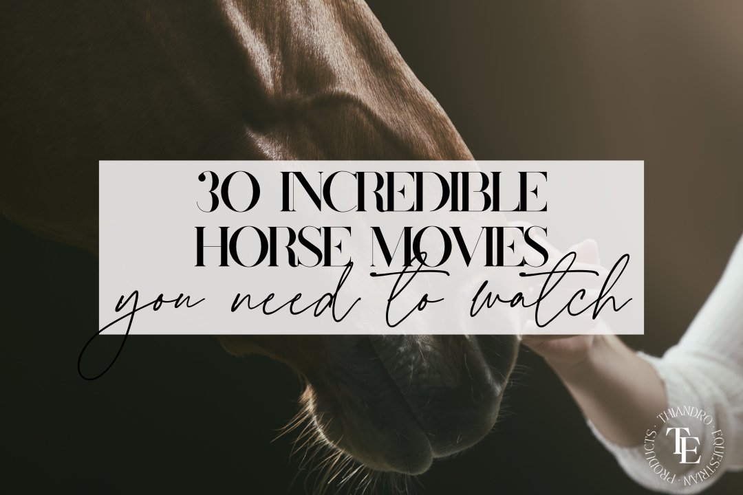 Horse Movies: 30 Incredible Movies About Horses You Need to Watch - Thiandro Equestrian Products