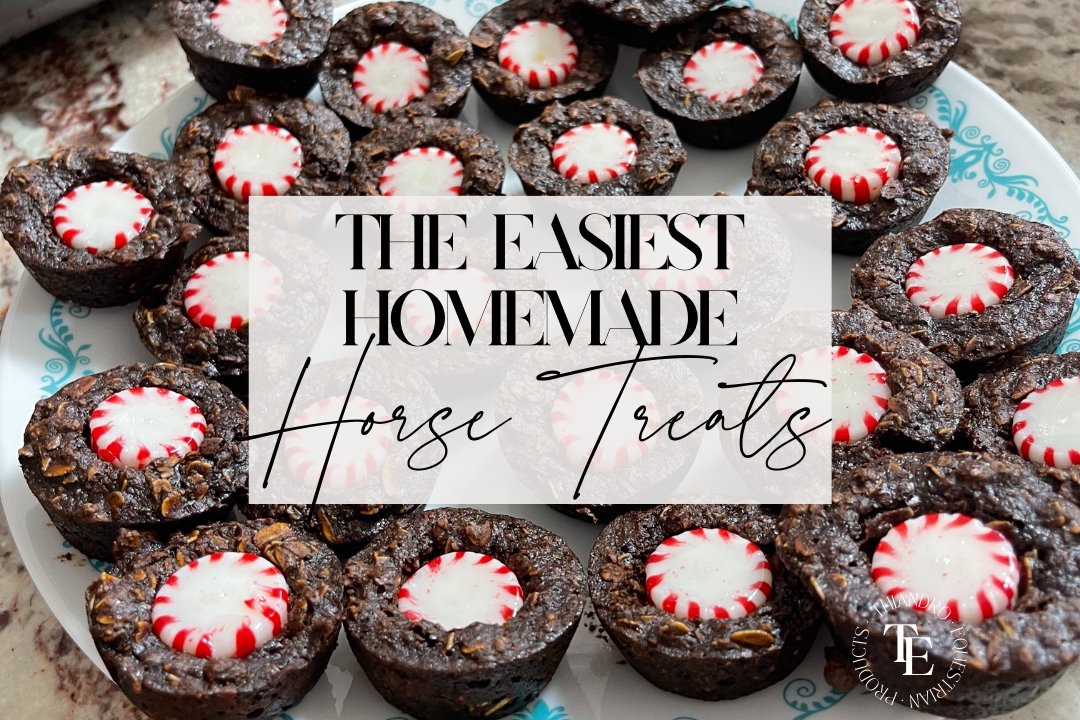 Horse Treats Recipes | Easy Homemade Horse Treats - Thiandro Equestrian Products