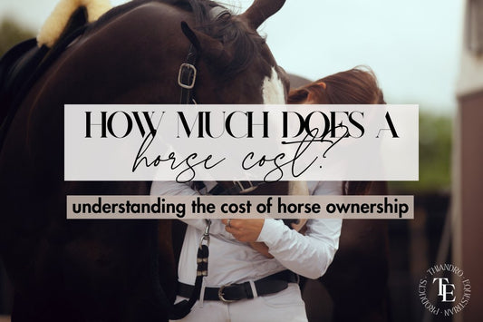 How Much Does a Horse Cost? Understanding the True Expenses of Horse Ownership - Thiandro Equestrian Products