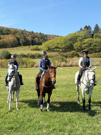 Black Essential Riding Tights