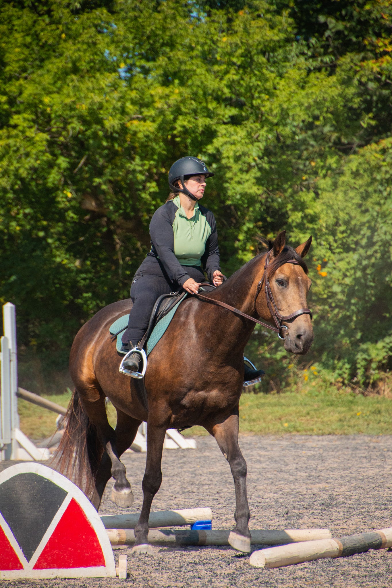 Black Essential Riding Tights